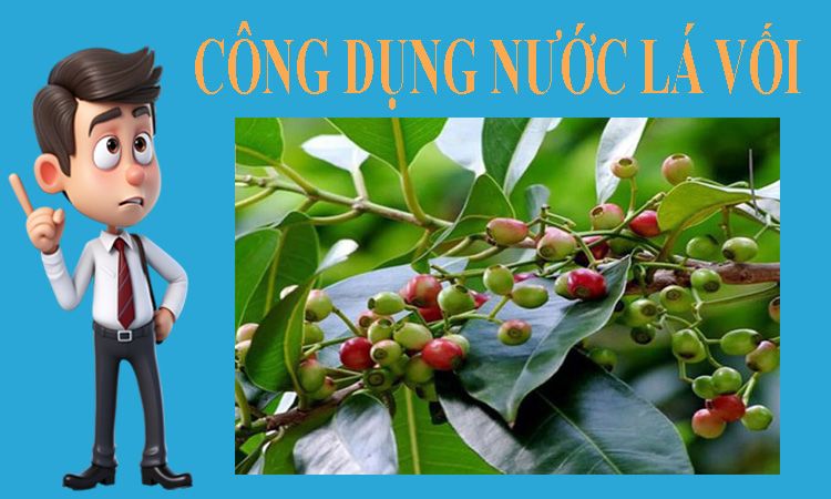 Tác Dụng Của Nước Lá Vối: Bí Quyết Tăng Cường Sức Khỏe Mỗi Ngày