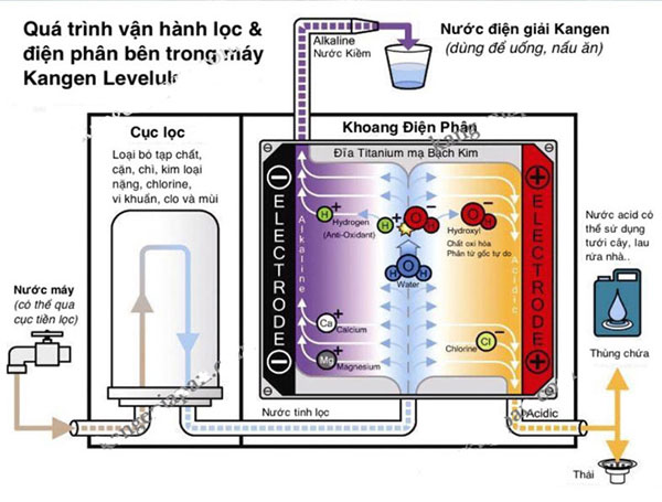 ion-kiem-Kangen-K8