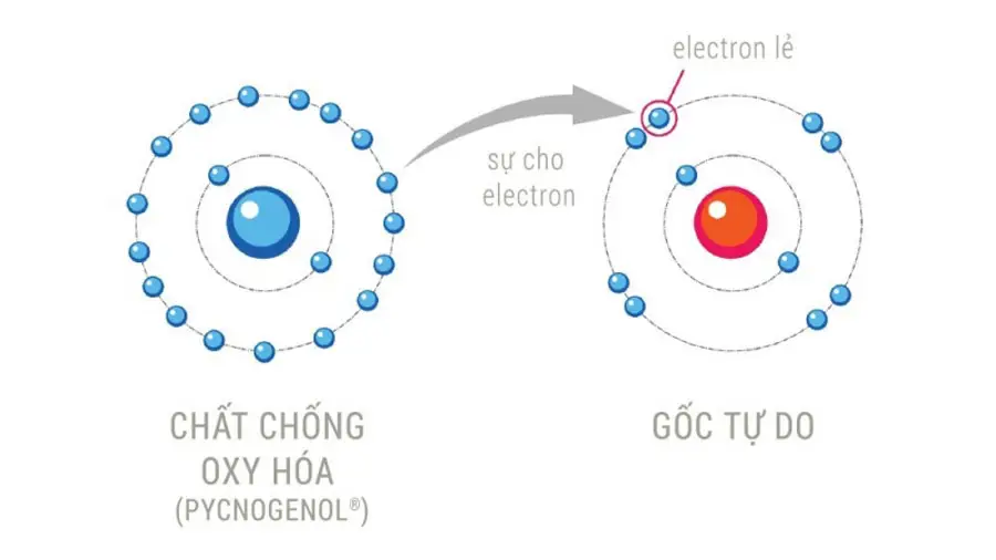 ion-hoa