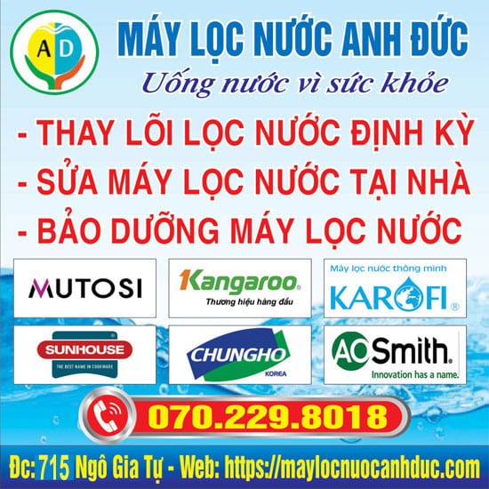 Thay-loi-loc-nuoc-tai-kie-an